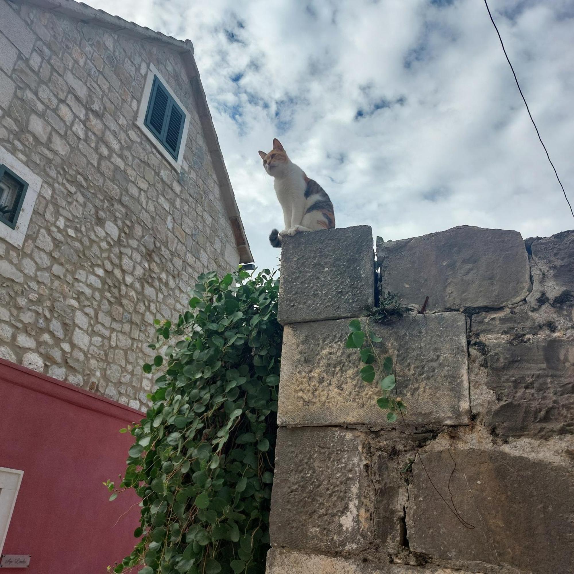דירות San Marco מאקרסקה חדר תמונה
